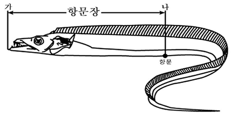항문장 측정 기준