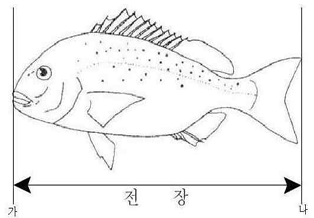 전장 측정 기준