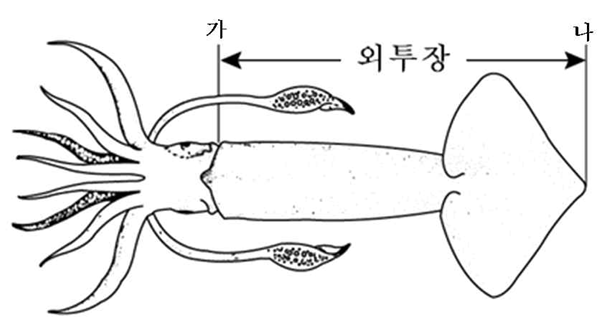 외투장 측정 기준