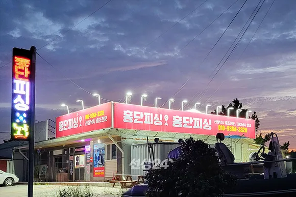 홍단피싱