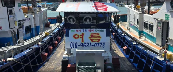 진도 여름호 태양호