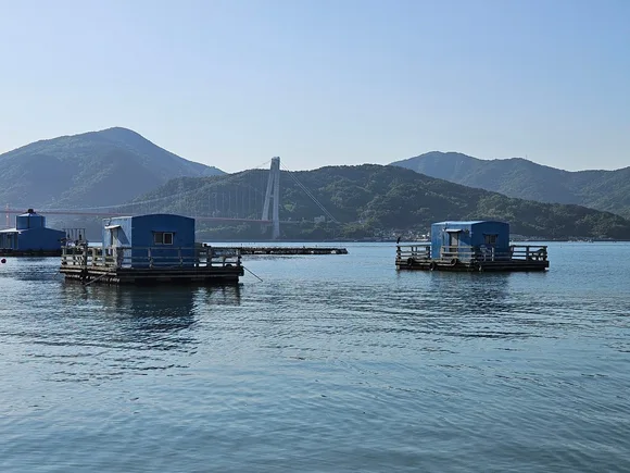 송문좌대낚시
