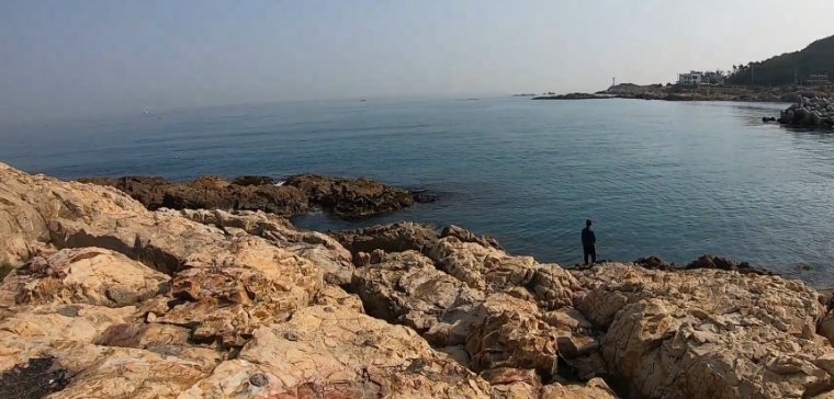부산 기장군 월전방파제 갯바위 포인트