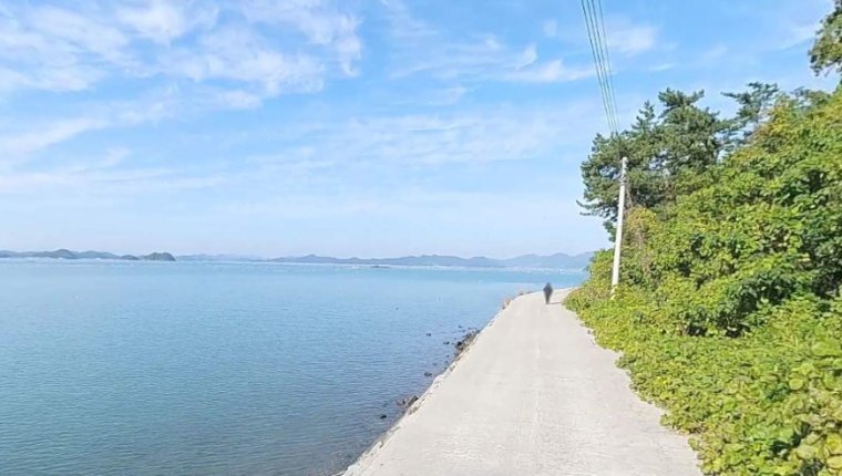 완도 약산면 어두 방파제 북측 포인트