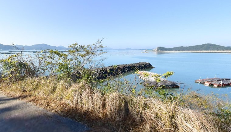 완도 약산면 득암리 사동 방파제 포인트