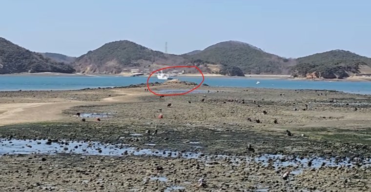 당진 석문면 도비도 광어, 우럭 낚시 포인트