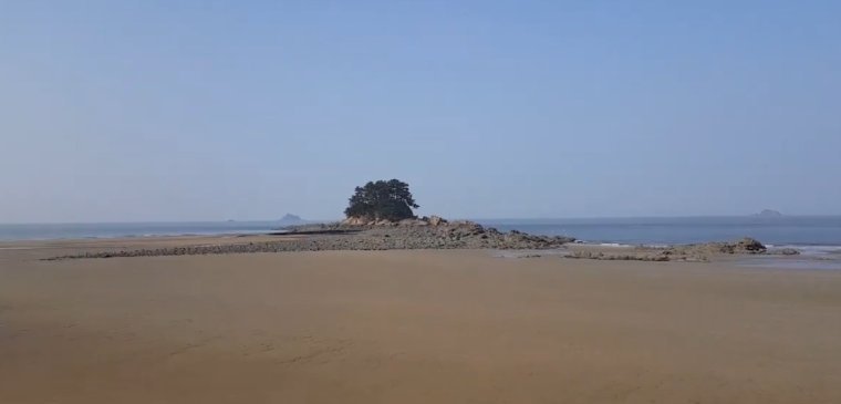 태안 학암포 소분점도, 분점도 포인트