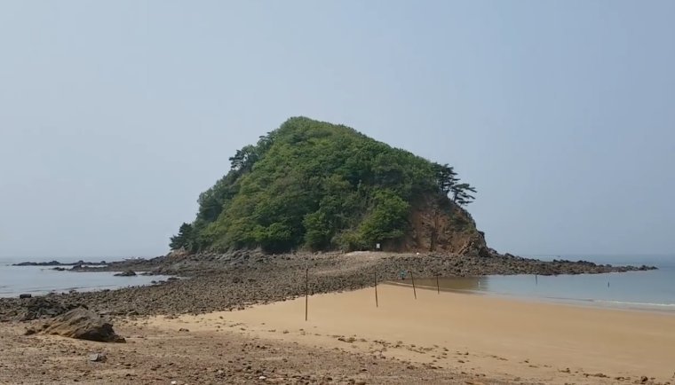 안면도 망재 광어 포인트
