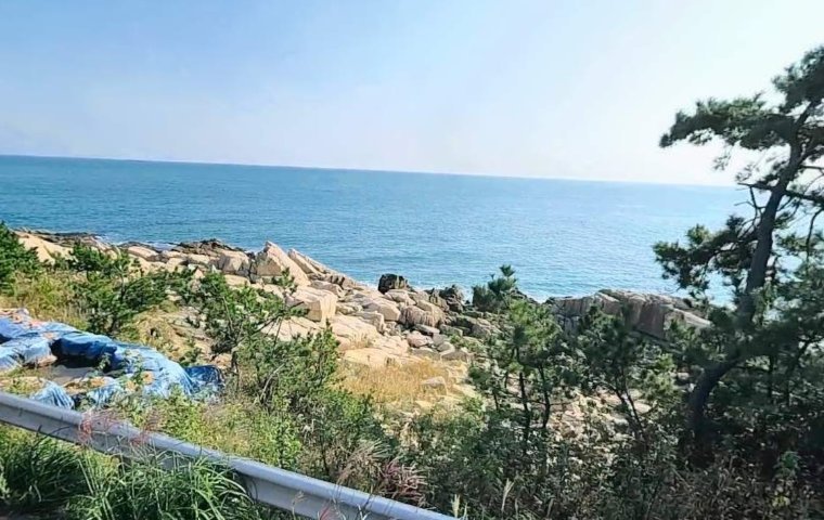 부산 기장군 대변방파제, 갯바위 포인트
