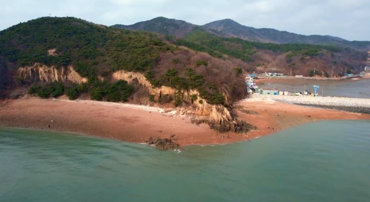 무의도 광어, 삼치 세링게티 포인트