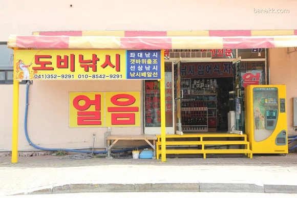 도비낚시
