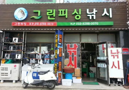 그린피싱